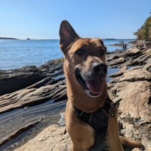 Meet your Posher, Erica